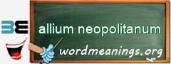 WordMeaning blackboard for allium neopolitanum